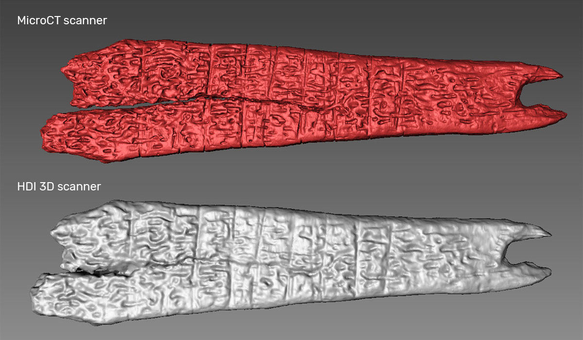 3d scanner vs microCT scan